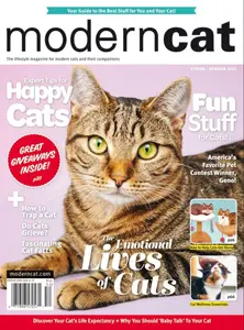 Modern Cat - Spring/Summer 2025