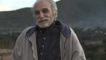 Biette (2013)