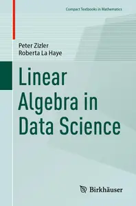 Linear Algebra in Data Science (Compact Textbooks in Mathematics)