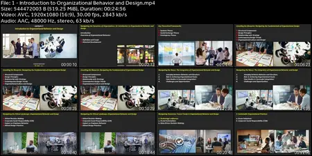 Master course in Organizational Behavior and Design