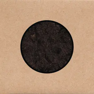 Swans - Birthing (2025) [Official Digital Download]