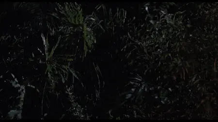 Double Impact (1991)