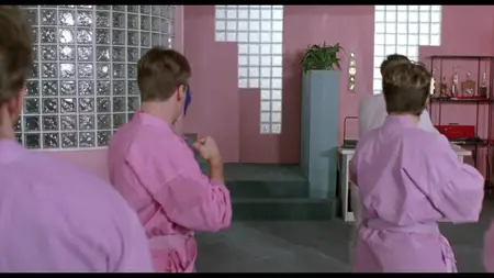 Double Impact (1991)