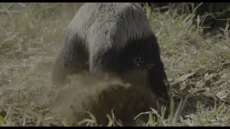 Underdogs S01E01
