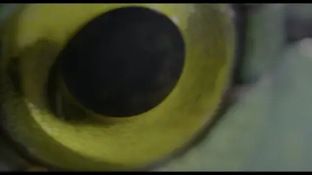 Underdogs S01E01