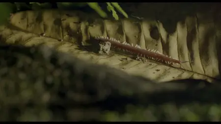 Underdogs S01E01