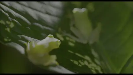 Underdogs S01E01