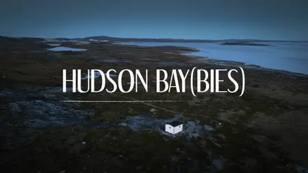 Hudson Bay(bies) (2025)