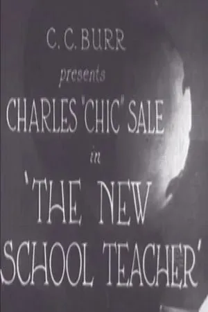 The New School Teacher (1924)