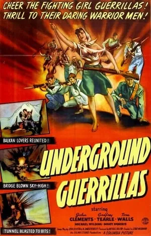 Undercover (1943)