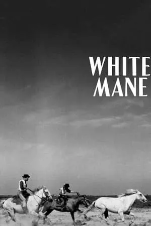 White Mane (1953) [The Criterion Collection]