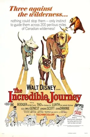 The Incredible Journey (1963) [Repost]