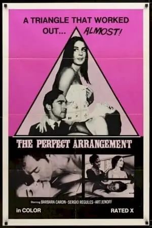 The Perfect Arrangement (1971)