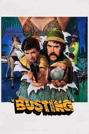 Busting (1974) [MultiSubs] + Extras