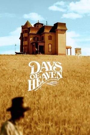 Days of Heaven (1978) [The Criterion Collection]