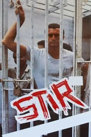 Stir / AvaxHome