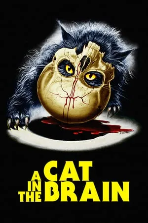 Un gatto nel cervello (1990) A Cat in the Brain