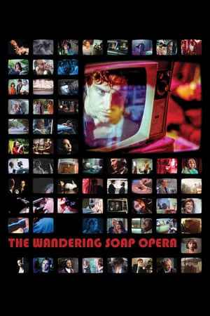 The Wandering Soap Opera (2017)