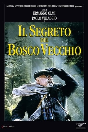 The Secret of the Old Woods / Il segreto del bosco vecchio (1993)