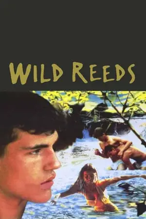 Wild Reeds (1994) Les roseaux sauvages