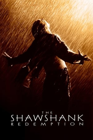 The Shawshank Redemption (1994) [MULTI]