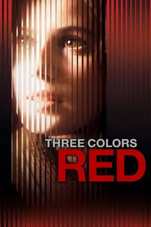 Three Colors: Red (1994) Trois couleurs: Rouge