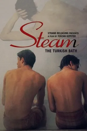Steam: The Turkish Bath (1997) Hamam
