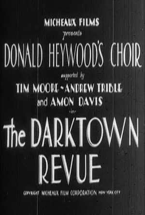 The Darktown Revue (1931)