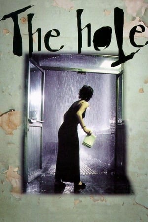 Dong / The Hole (1998)