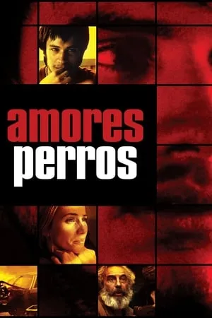 Love's A Bitch / Amores perros (2000) [Criterion Collection]