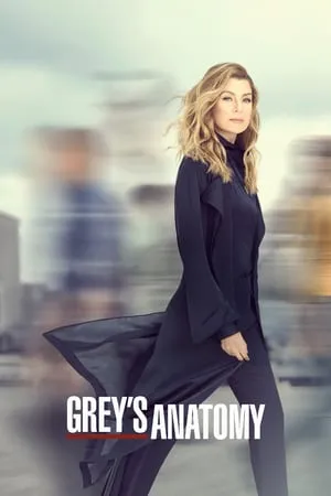 Grey's Anatomy S19E15