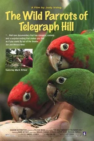 The Wild Parrots of Telegraph Hill (2003)