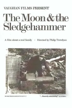 The Moon and the Sledgehammer