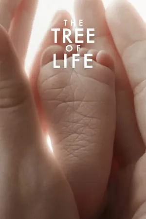 The Tree of Life (2011) Criterion Extended