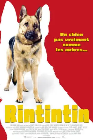 Finding Rin Tin Tin