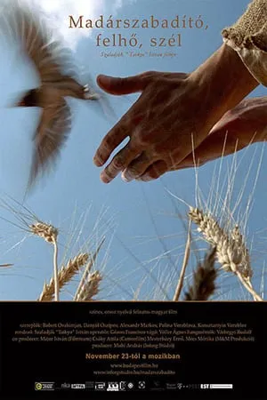 Bird Saviour, Clouds and Wind (2006) Madárszabadító, felhő, szél