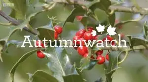 BBC - Autumnwatch Extras