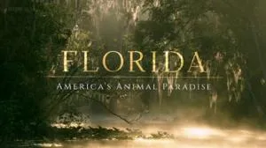 BBC Natural World - Florida: America's Animal Paradise