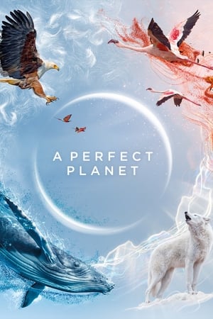 BBC - A Perfect Planet (2021)