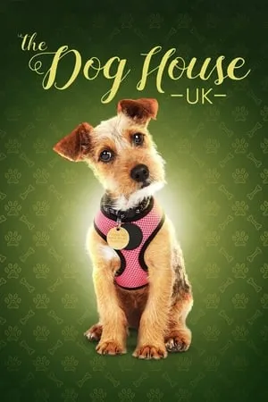 Channel 4 - The Dog House Series 1 (2019)