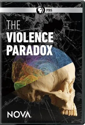 The Violence Paradox