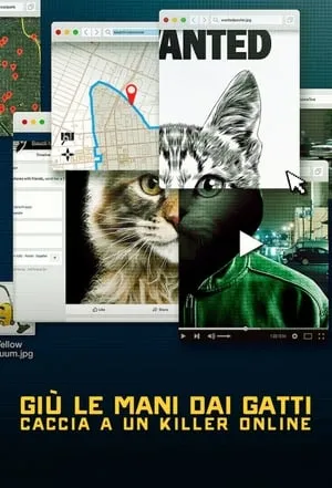 Giù le mani dai gatti: caccia a un killer online