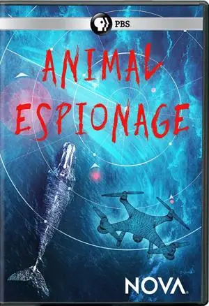 PBS - NOVA: Animal Espionage (2019)