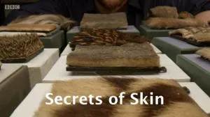 BBC - Secrets of Skin Series 1