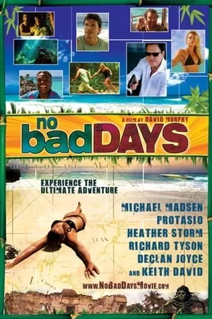 No Bad Days (2008)