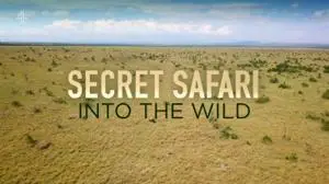 Channel 4 - Secret Safari: Into the Wild