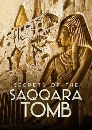 Secrets of The Saqqara Tomb (2020) [MultiAudio]