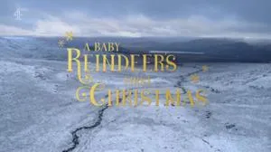 Channel 4 - A Baby Reindeer's First Christmas