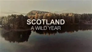 Channel 5 - Scotland a Wild Year Series 1 (2021)