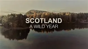 Channel 5 - Scotland a Wild Year Series 1